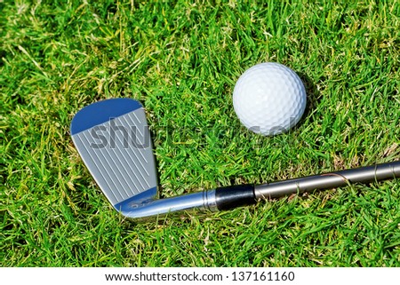Golf stick ball closeup on the grass.