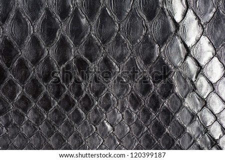 Reptile exotic leather, close-up of texture background