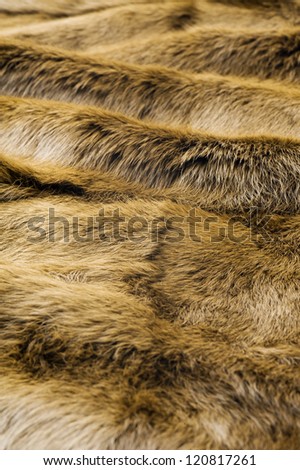 Fluffy fur fabric texture