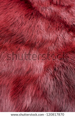 Red fur fabric texture of background material