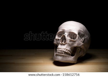 human skull model on dark wooden background