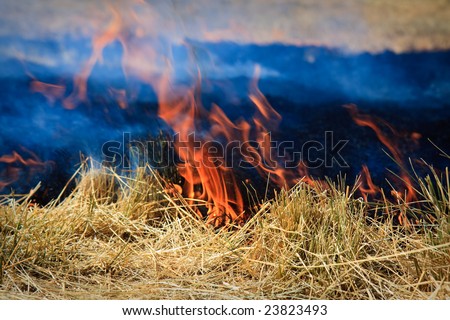 Bluegrass field fire in Idaho
