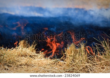Close view of the flames from field fire