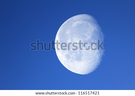 Big moon in the night blue sky.