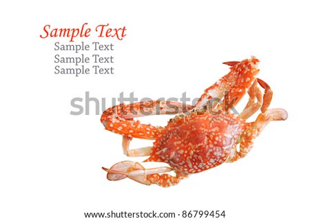 Orange Crab