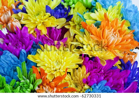 Colorful+daisies+background