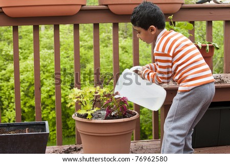 Child Watering Coleus Plant on a Deck