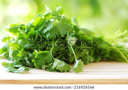 bunch of coriander on table