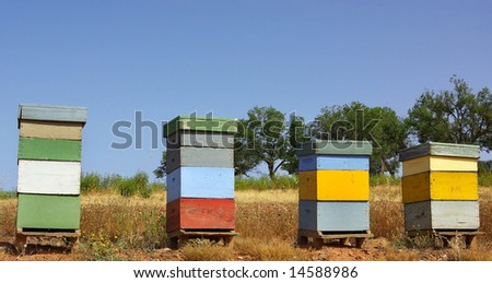 Colored bee-houses in a field of Portugal.