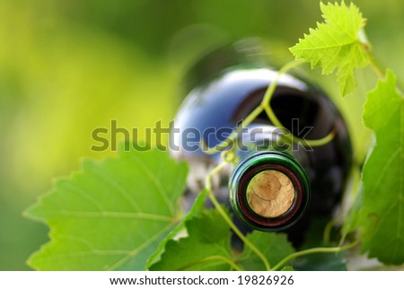 Bottle of red wine and green leaves.