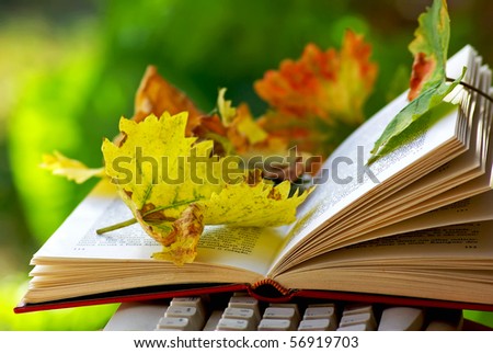Leaves on open book.