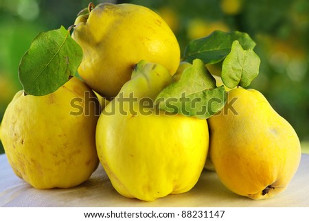 quince on a green background