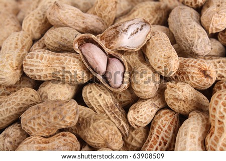 show a peeled peanut is different from the bunch of peanuts on whole background