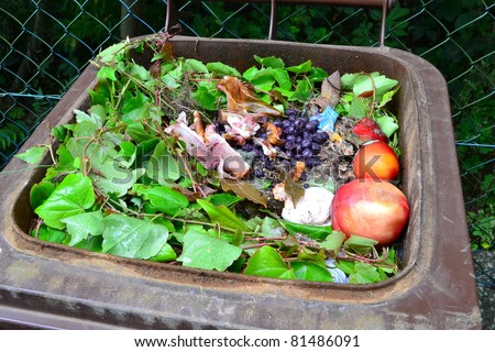 stock photo Household bio organic food waste in rubbish bin ready for 