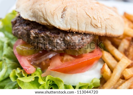 hamburger - American cheese burger with fresh salad