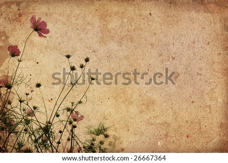 vintage flower paper background