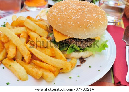 Cheese burger - American cheese burger with fries