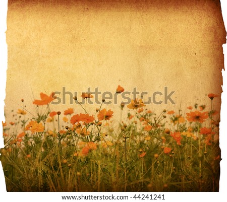 old flower paper background frame