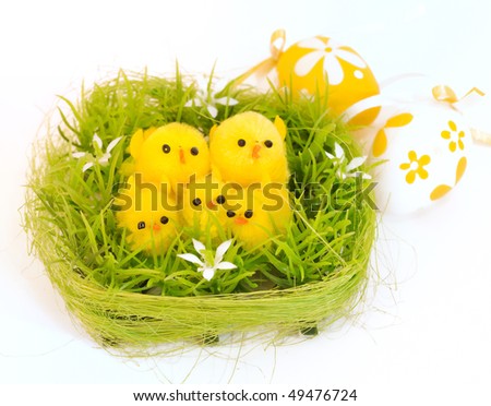 easter chick - painted Easter eggs isolated for easter design