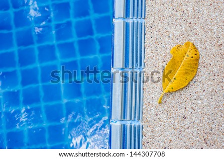 Yellow leaf and blue swimming pool