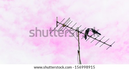 Two bird kissing on top of atenna with pink sky