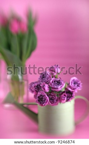 Springtime roses and tulips abstract soft focus effect