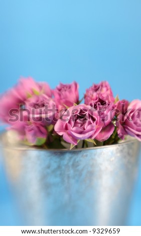 A pail full of pink roses with special focus