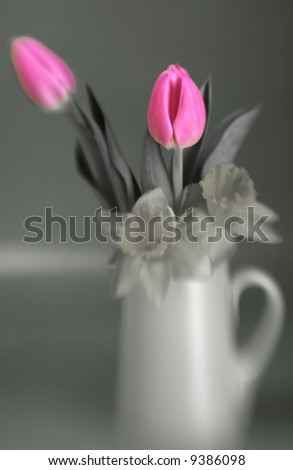 Tulips and daffodils with special focus and color tint