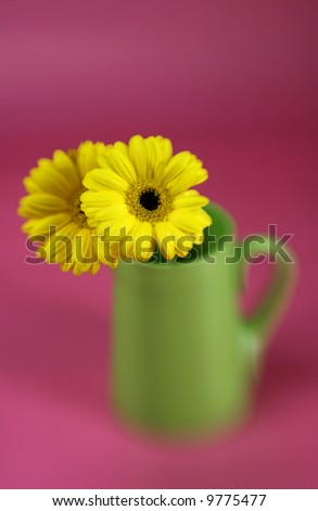 A bunch of bright springtime flowers with special focus