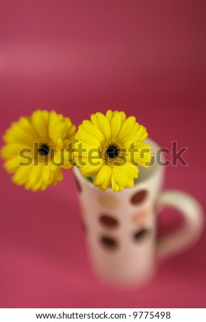 Yellow daises in a polka dot cup with special focus