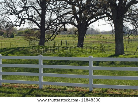 Rural scene with rail fence and pasture.