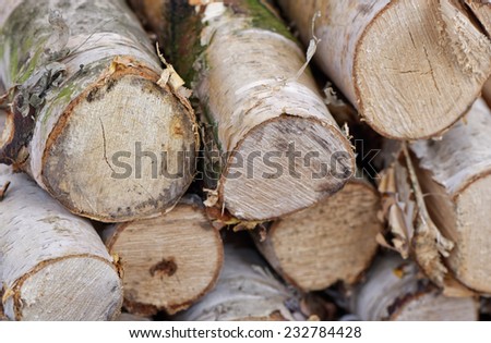 Birch firewood background.