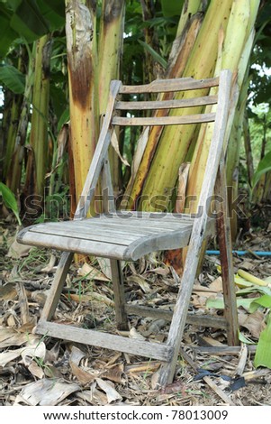 Old wood chair in Banana plantation