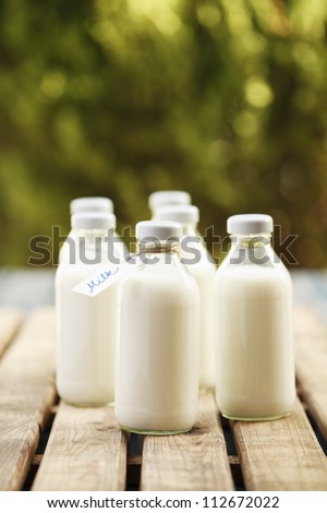 Milk bottles arranged in rows on a wooden table
