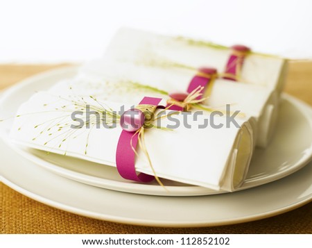 White napkins in pink napkin ring sitting on a plate. White background. Shallow DOF.