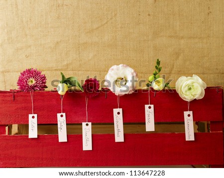 Flower Assortment