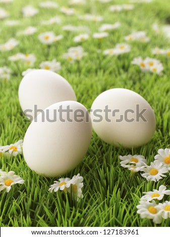 Colored easter eggs with little daisy flowers in grass