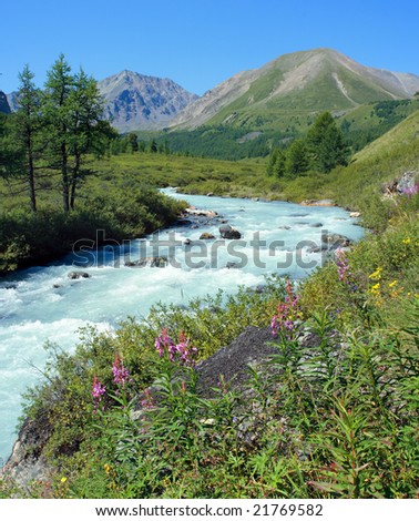Altai. The river Karakabak.
