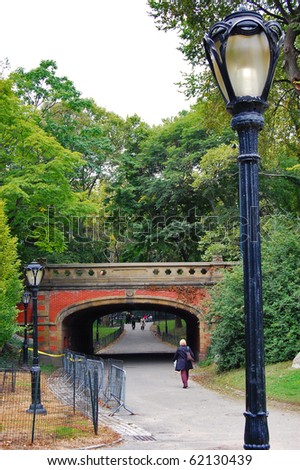 cool new york city pictures. central park new york city.