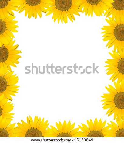 Frame from sunflowers for photo (with clipping path)