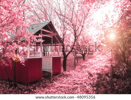 Pink spring(infrared photo)