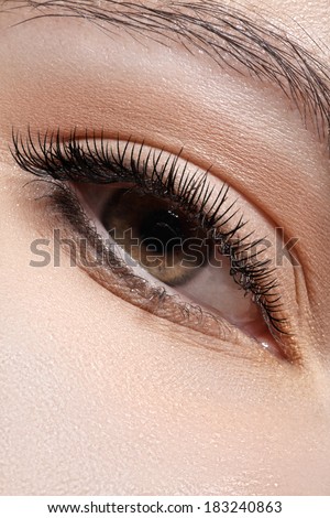 Macro shot of woman\'s beautiful eye with extremely long eyelashes. Sexy view, sensual natural look