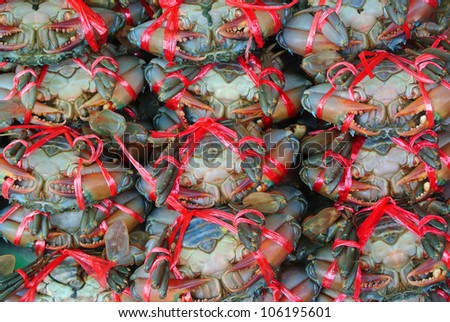 Fresh Crab in the market