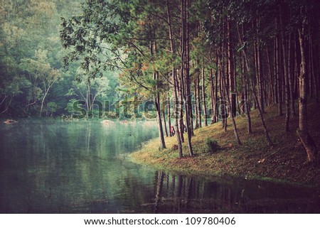 Forest background Vintage style Forest background Vintage style