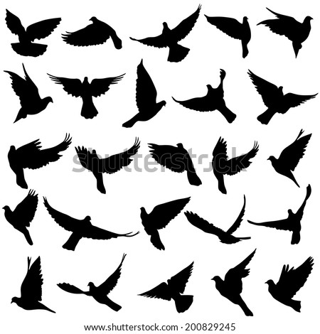 Concept of love or peace Set of silhouettes of doves Vector illustration Concept of love or peace Set of silhouettes of doves Vector illustration
