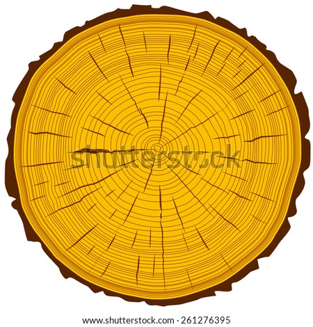 Tree rings saw cut tree trunk background.  illustration.