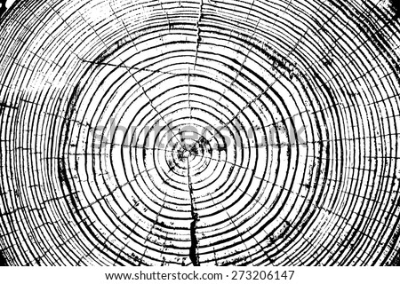 Tree rings saw cut tree trunk background.  illustration.