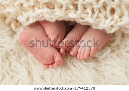 A closeup shot of the feet of twin boy and girl babies. Shot in the studio on a sheepskin rug.