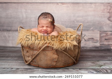 Smiling eight day old newborn baby girl. She is sleeping in a rustic basket on top of gold faux fur wearing a pearl and feather headband.