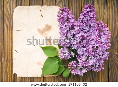 Lilac flowers branch with sample text